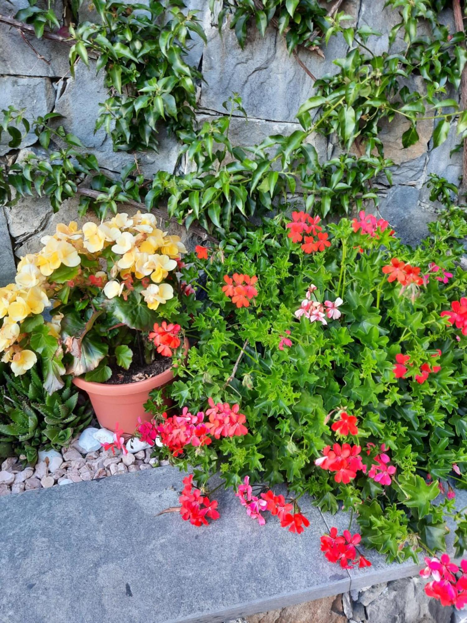Vignola Bed & Breakfast