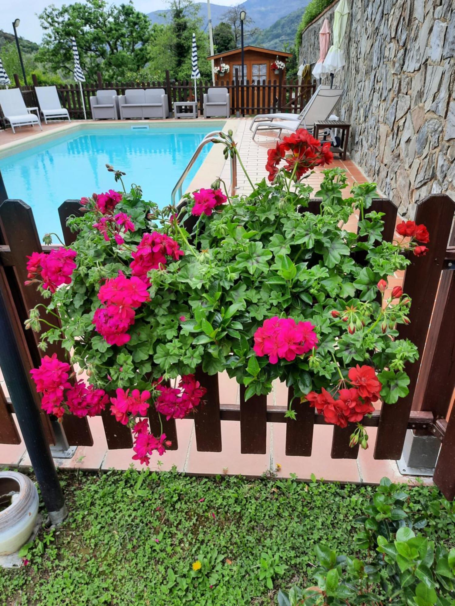 Vignola Bed & Breakfast Levanto