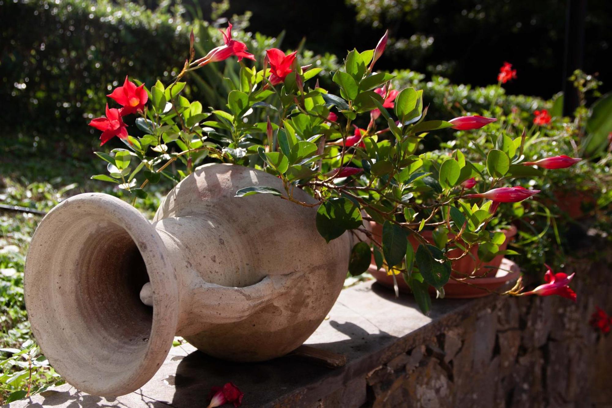 Bed & Breakfast Vignola Levanto