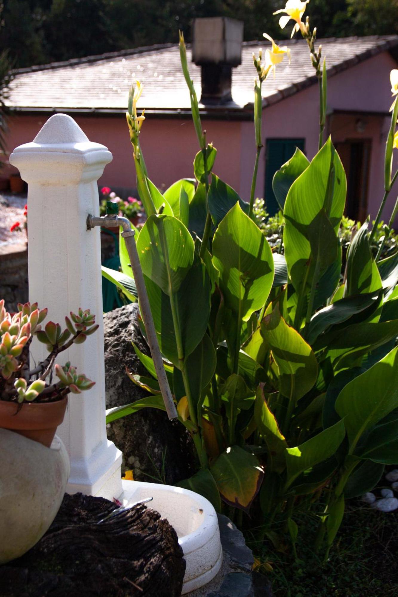 Vignola Bed & Breakfast Levanto