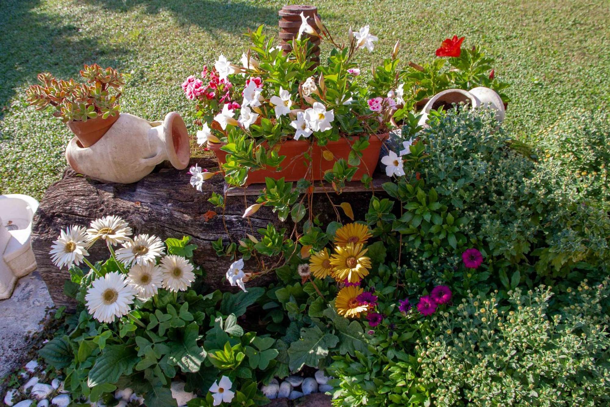 Bed & Breakfast Vignola Levanto