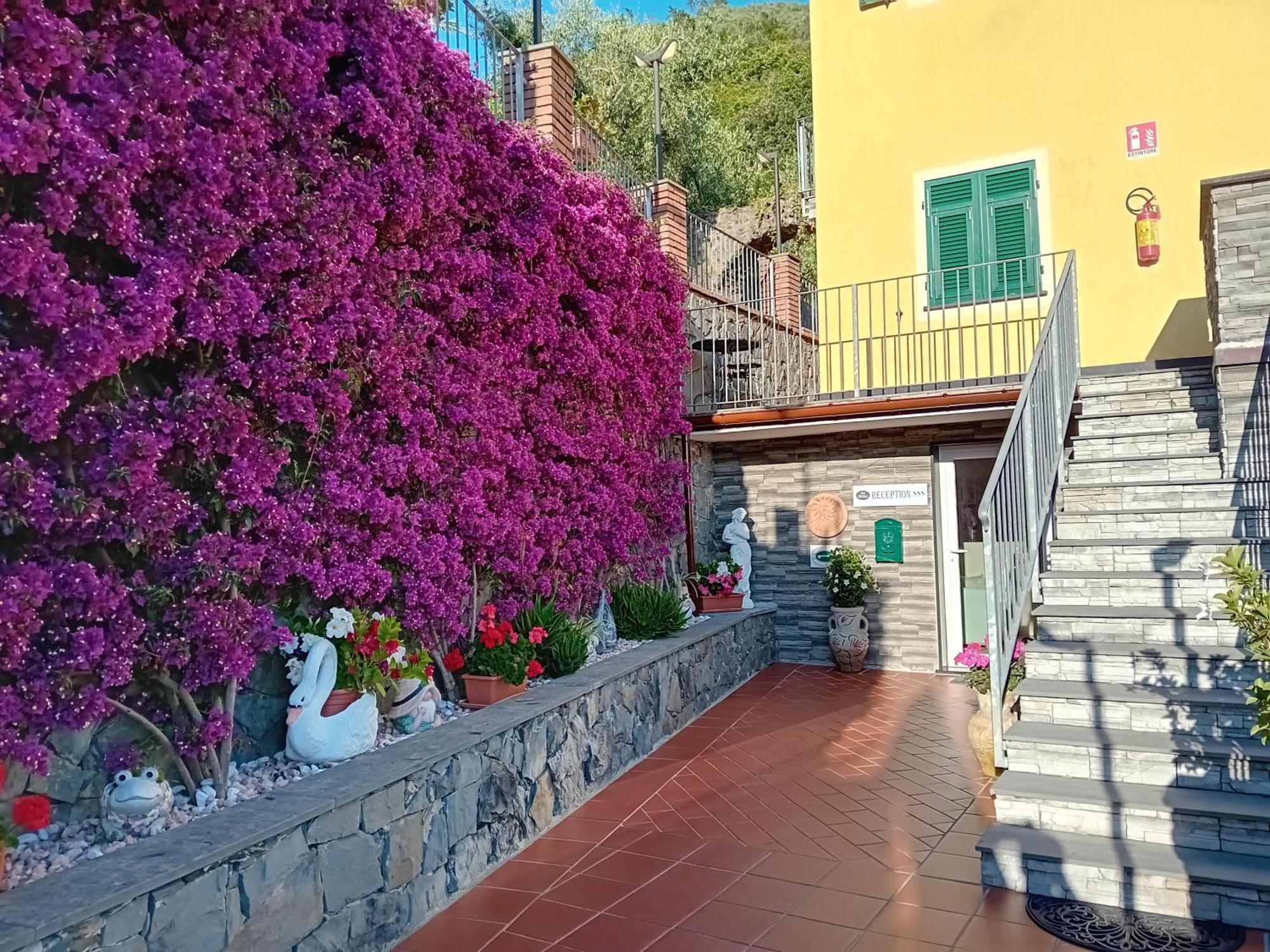 Vignola Bed & Breakfast